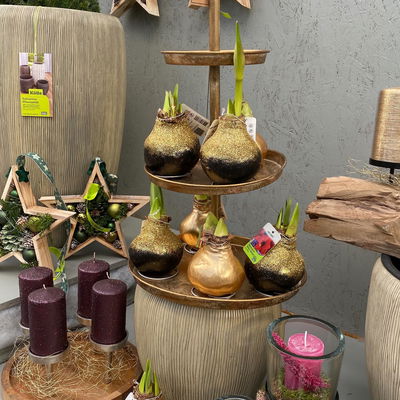 Amaryllis in Wachs XL, Dekor 'Superior Gold', Blüte rot Amaryllis in Wachs XL, Dekor 'Superior Gold', Blüte rot