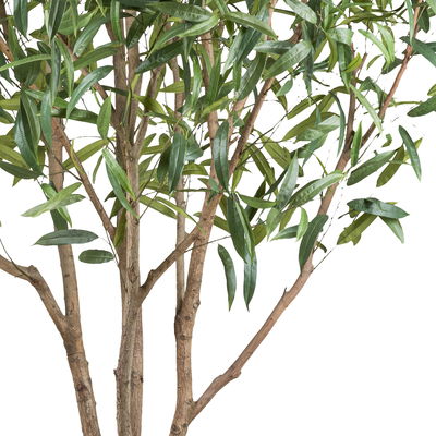 Kunstpflanze Ficus longifolia, Höhe ca. 260 cm