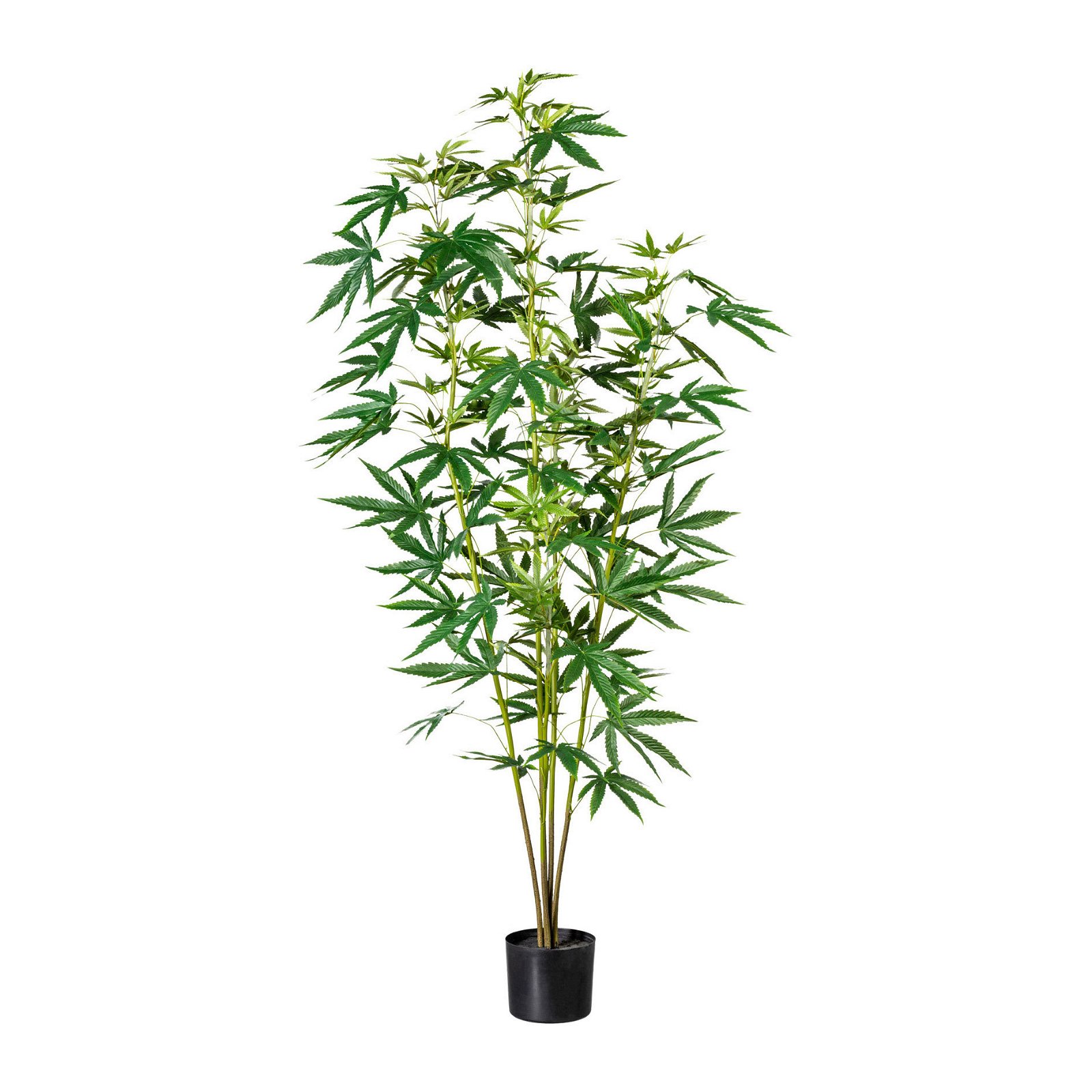 Kunstpflanze Zierhanfpflanze, ca. 150 Blätter, Höhe ca. 150 cm