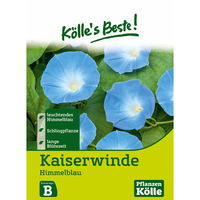 Kölle's Beste Blumensamen Trichterwinde himmelblau (Ipomoea)