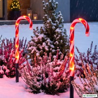 LED Zuckerstangen, bunt, Höhe ca. 55 cm, 6 Stück LED Zuckerstangen, bunt, Höhe ca. 55 cm, 6 Stück