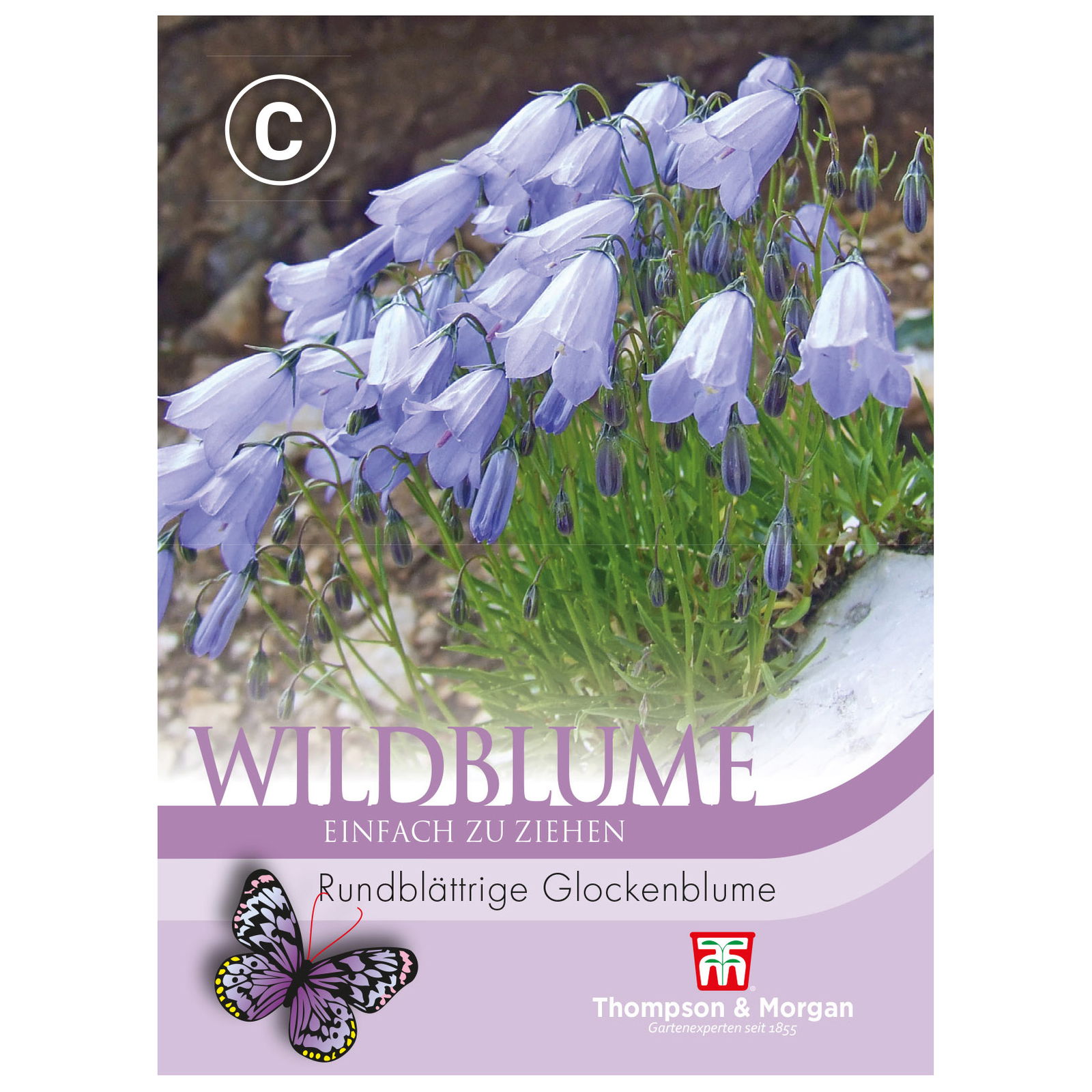 Thompson & Morgan Wildblume rundblättrige Glockenblume, blau Thompson & Morgan Wildblume rundblättrige Glockenblume, blau