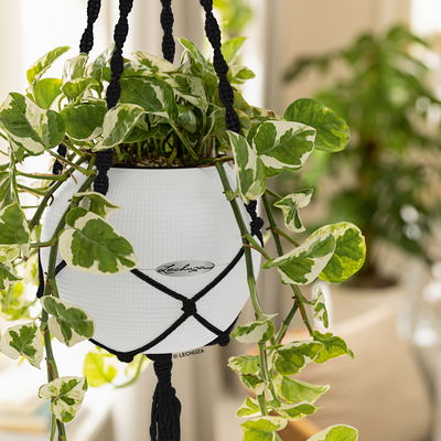 Lechuza Aufhängung 'Makramee Boho 90' für Puro Color 20, schwarz