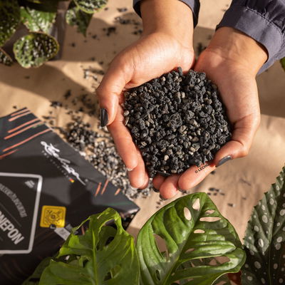 Lechuza Blackstonepon, 6 Liter Lechuza Blackstonepon, 6 Liter