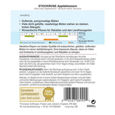 Thompson & Morgan Blumensamen Stockrose Appleblossom