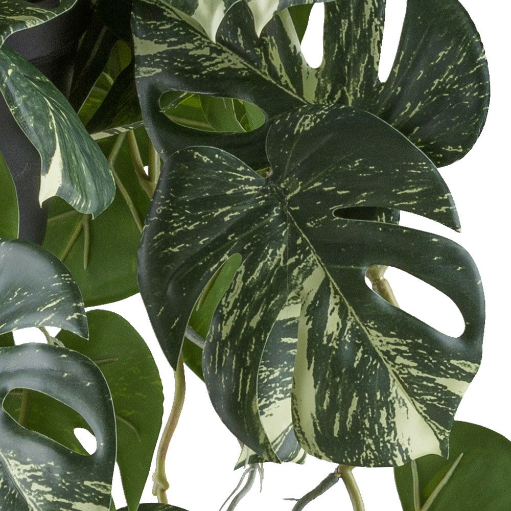 Kunstpflanze Splitphilodendron variegata im Hängetopf, Höhe ca. 80 cm