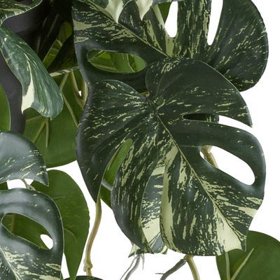 Kunstpflanze Splitphilodendron variegata, Höhe ca. 80 cm
