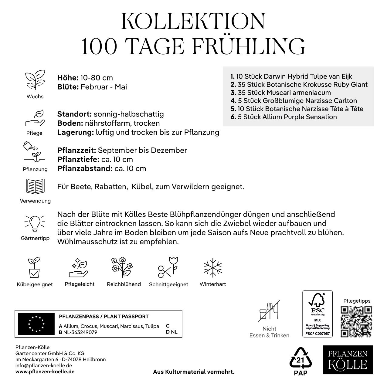 Kölles Beste Kollektion '100 Tage Frühling', 100 Blumenzwiebeln Kölles Beste Kollektion '100 Tage Frühling', 100 Blumenzwiebeln