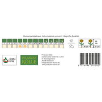 Greigii Tulpen Sweet Lady rosa, 7 Blumenzwiebeln