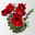 Schnittblumen-Mix aus 3 weihnachtsroten Amaryllis & 3 Eukalyptus