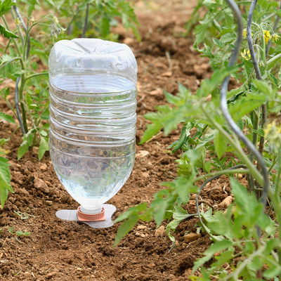 Hozelock Aquasolo Universal Bewässerungskegel, pink, 4 Kegel