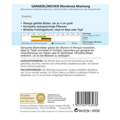 Samenmischung Gänseblümchen 'Monstrosa', rosa Samenmischung Gänseblümchen 'Monstrosa', rosa