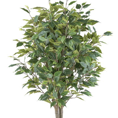 Kunstpflanze Ficus Benjamina, Höhe ca. 125 cm Kunstpflanze Ficus Benjamina, Höhe ca. 125 cm