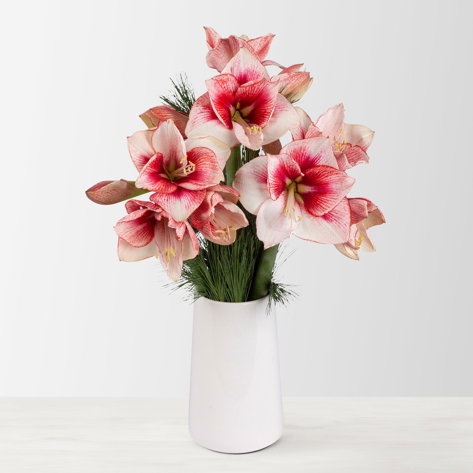 Schnittblumen-Mix aus 5 lachsfarbenen Amaryllis & 5 Seidenkiefer