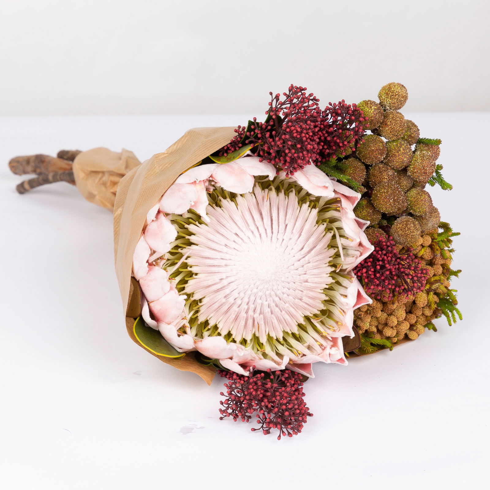 Blumenbund Protea King mit Skimmie und Kapgrün, inkl. gratis Grußkarte