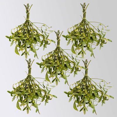 Misteln Handbund, natur, 5 Bund