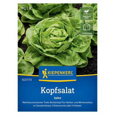 Gemüsesamen, Salat 'John Tolerant' Gemüsesamen, Salat 'John Tolerant'
