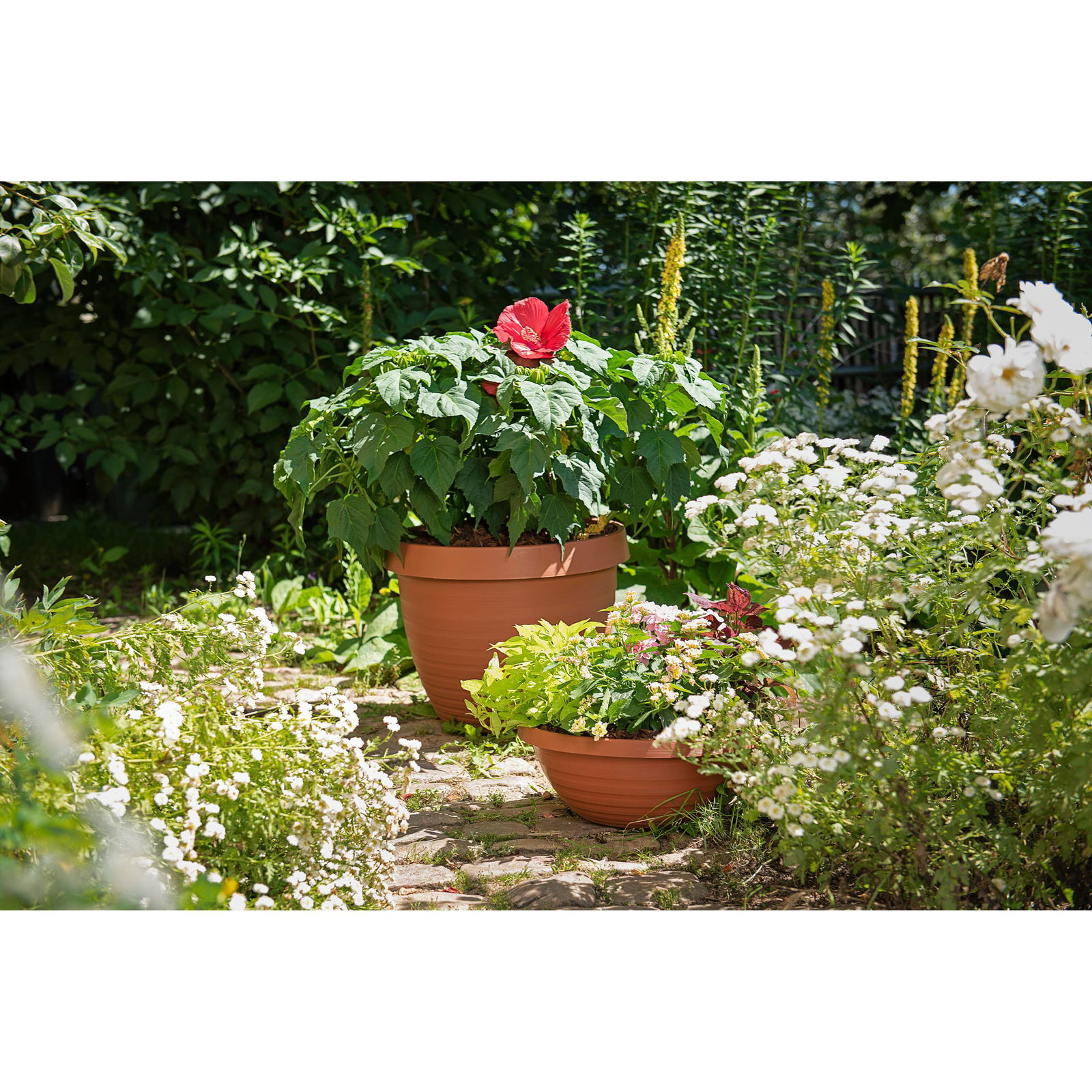 Pflanzschale 'Country Star', terrakotta, Ø 39 x H 15 cm, 9,5 Liter