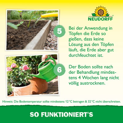 Neudorff Bestell-Set Nützlinge gegen Dickmaulrüssler, 5 Mio Stück Neudorff Bestell-Set Nützlinge gegen Dickmaulrüssler, 5 Mio Stück