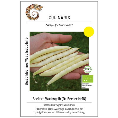 Thompson & Morgan Saatgut Buschbohne 'Beckers Wachsgelb', gelb