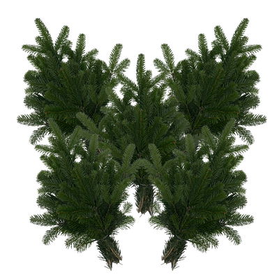 Bio Nordmanntannen-Zweige im Handbund, ca. 50 - 60 cm lang, 5 Bund Bio Nordmanntannen-Zweige im Handbund, ca. 50 - 60 cm lang, 5 Bund