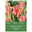 Greigii Tulpen Toronto rosa, 7 Blumenzwiebeln Greigii Tulpen Toronto rosa, 7 Blumenzwiebeln