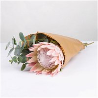 Blumenbund Protea King & Eukalyptus, inkl. gratis Grußkarte
