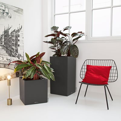 Lechuza 'Canto Stone 40 high', graphitschwarz, ca. 40 x 40 x H 76 cm