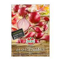 Steckzwiebeln 'Red Ray', rot, 60 Zwiebeln