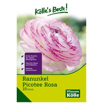 Ranunkel 'Picotee Rosa', rosa, 10 Blumenknollen Ranunkel 'Picotee Rosa', rosa, 10 Blumenknollen