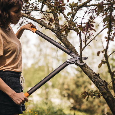 Getriebe-Astschere 'Bypass'