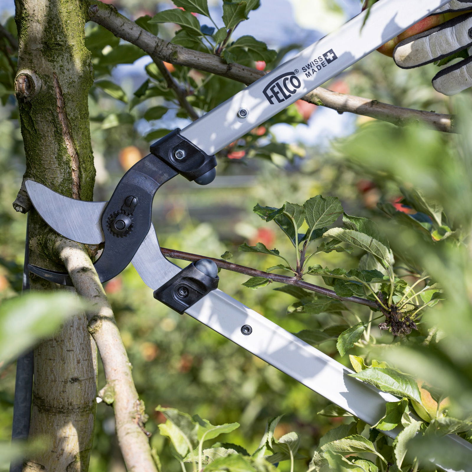 Felco Astschere, Nr. 221-90 Felco Astschere, Nr. 221-90