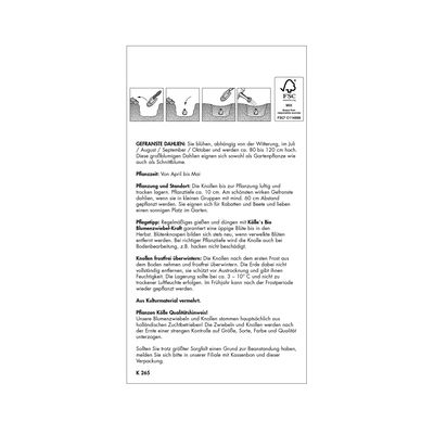 Gefranste Dahlien Encore, gelb, Größe 1, 1 Blumenknolle Gefranste Dahlien Encore, gelb, Größe 1, 1 Blumenknolle