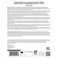Sperli Wintersteckzwiebeln Trio, 50 Zwiebeln