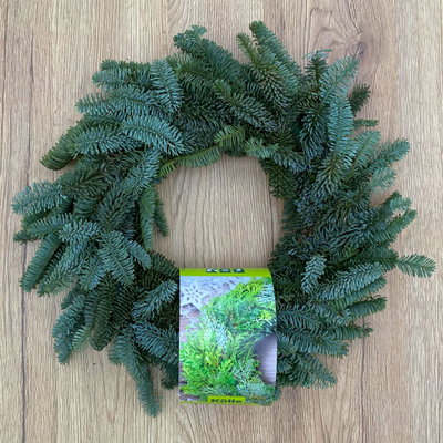 Adventskranz, Nobilistanne, halbrund gebunden, ca. 30 cm Ø Adventskranz, Nobilistanne, halbrund gebunden, ca. 30 cm Ø