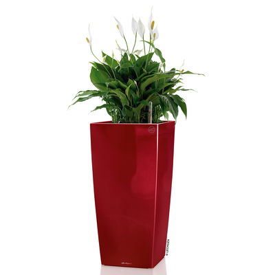 Lechuza 'Cubico 30', scarlet-rot, ca. 30 x 30 x H 56 cm Lechuza 'Cubico 30', scarlet-rot, ca. 30 x 30 x H 56 cm