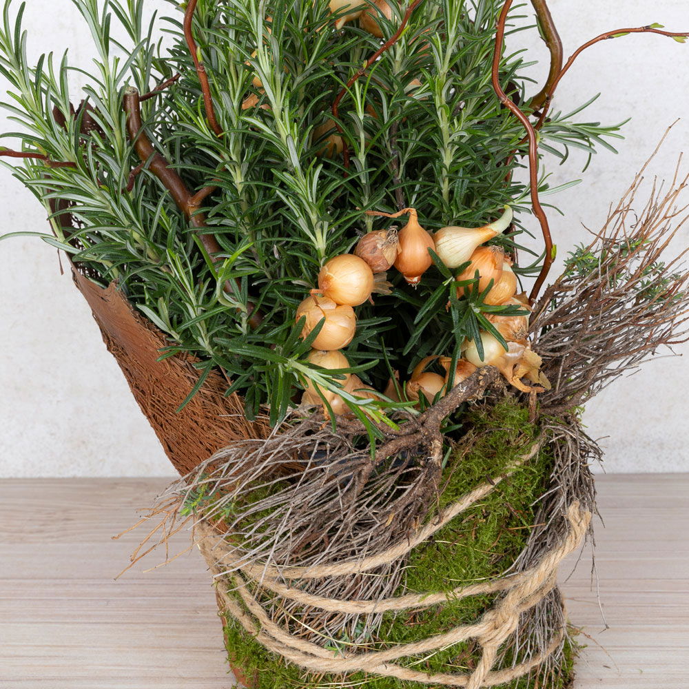 Workshop zum Kräuter-Erlebnistag 