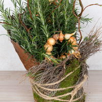 Workshop zum Kräuter-Erlebnistag 