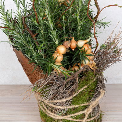 Workshop zum Kräuter-Erlebnistag 