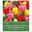 Darwin Hybride Tulpen Prachtmischung 50 Blumenzwiebeln
