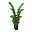 Kunstpflanze Zamifolia im Kunststofftopf, 220 Blätter, grün, ca. 110 cm