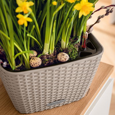 Lechuza 'Bacino Cottage', sandbraun, ca. 30 x 30 x H 18 cm Lechuza 'Bacino Cottage', sandbraun, ca. 30 x 30 x H 18 cm