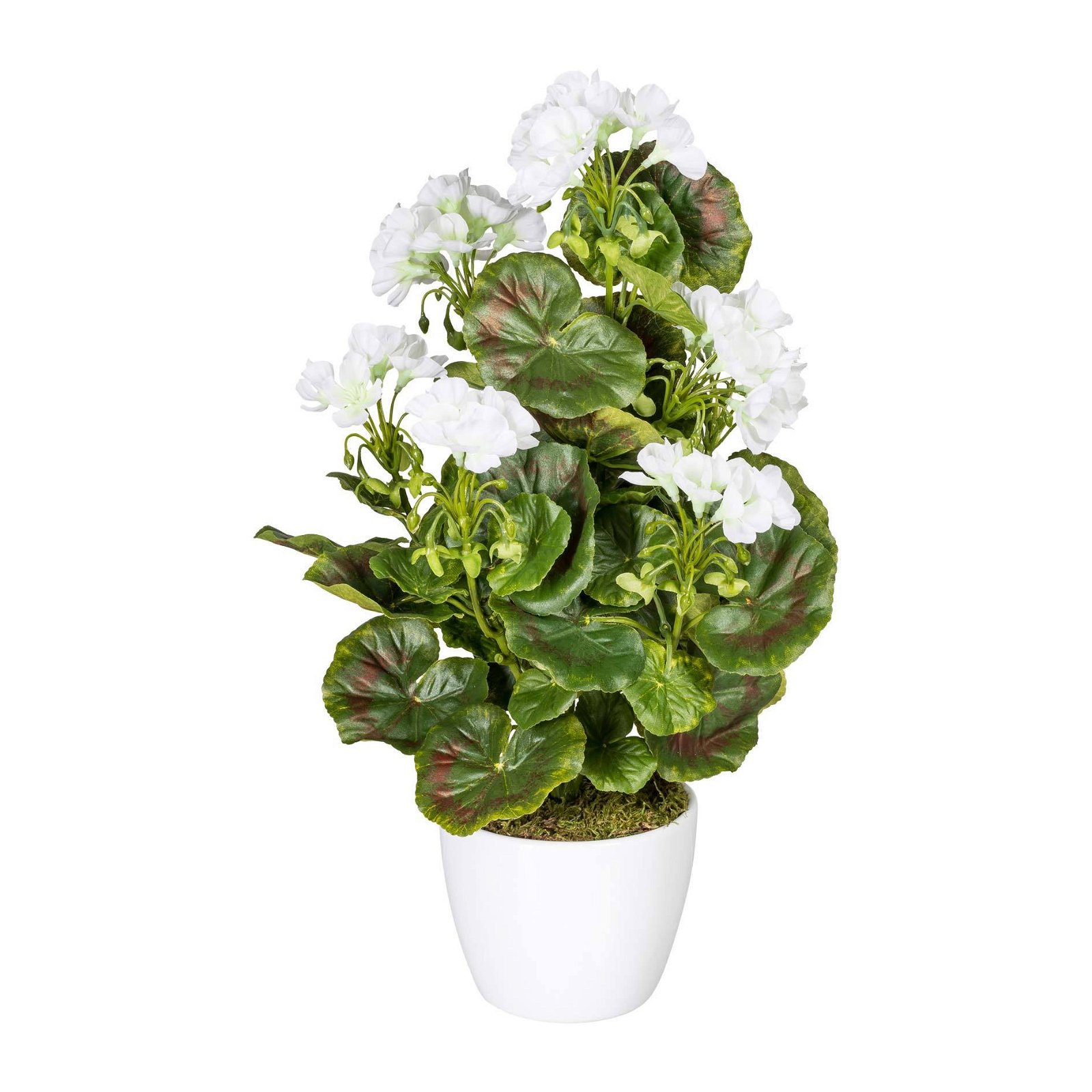 Kunstpflanze Geranienbusch, weiß, ca. 40 cm, UV-beständig, mit Keramiktopf