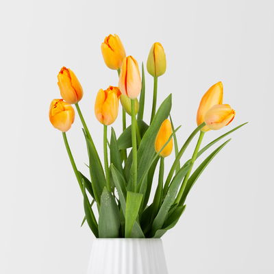 10 lachsorangene Tulpen