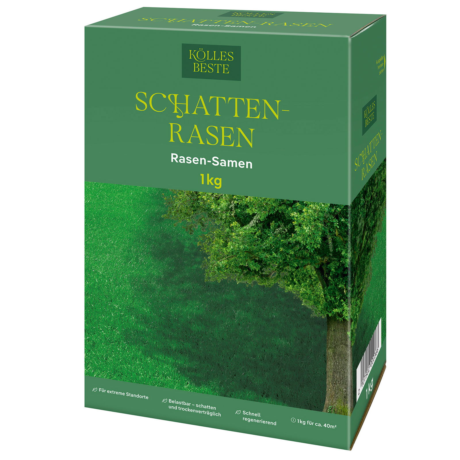 Kölles Beste Schattenrasen mit Lägerrispe Poa supina, 1 kg