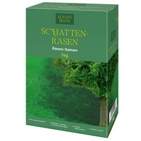 Kölles Beste Schattenrasen mit Lägerrispe Poa supina, 1 kg