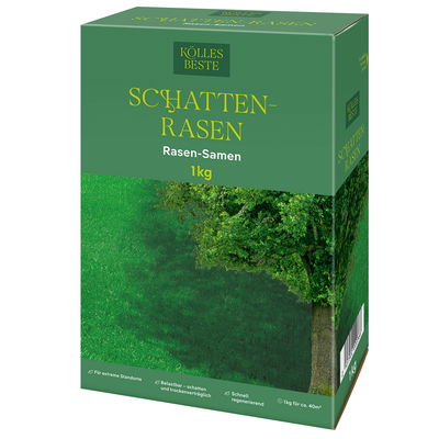 Kölles Beste Schattenrasen mit Lägerrispe Poa supina, 1 kg