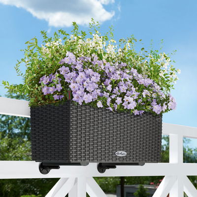 Lechuza 'Balconera Cottage 50', granit, ca. 50 x 19 x H 19 cm