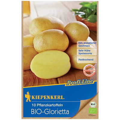Pflanzkartoffel, Solanum tuberosum 'BIO Glorietta'®, 10 Kartoffeln Pflanzkartoffel, Solanum tuberosum 'BIO Glorietta'®, 10 Kartoffeln