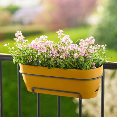 Elho Pflanzgefäß 'Vibia Campana 70 all-in-1', honiggelb Elho Pflanzgefäß 'Vibia Campana 70 all-in-1', honiggelb